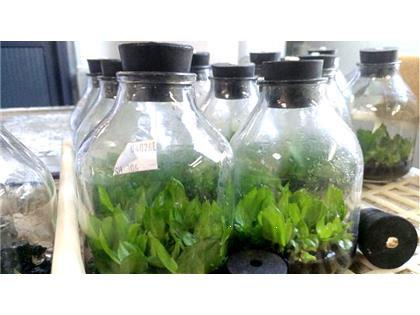  珠海冠浩成功獲得自動(dòng)壓棉機發(fā)明專(zhuān)利